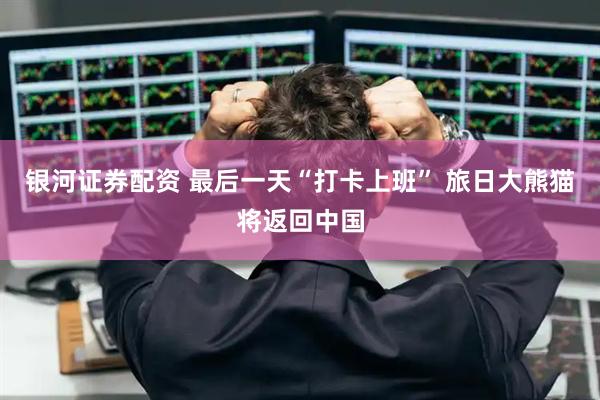 银河证券配资 最后一天“打卡上班” 旅日大熊猫将返回中国
